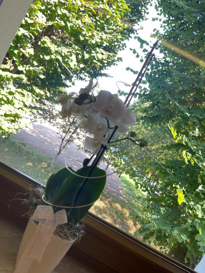 Hohe Tanne Hotell Auerbach in der Oberpfalz Eksteriør bilde